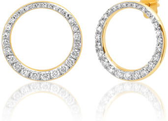 Eriness earrings