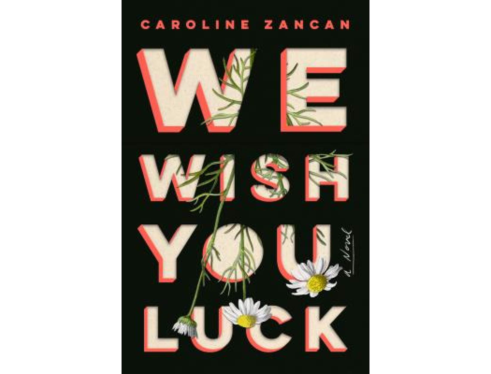 <em>We Wish You Luck</em> by Caroline Zancan