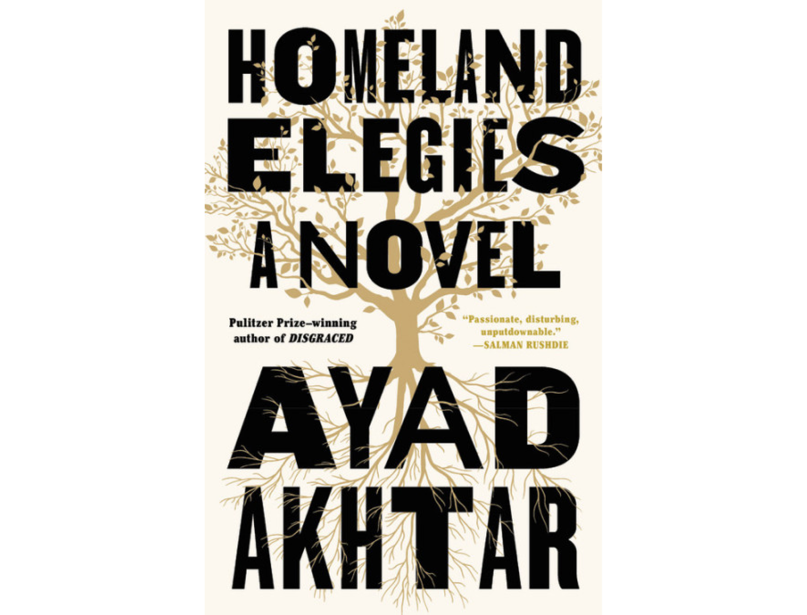 <em>Homeland Elegies</em> by Ayad Akhtar 