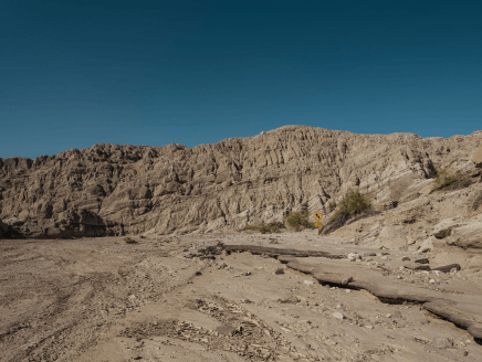 Desert X desert x 2021 exhibition